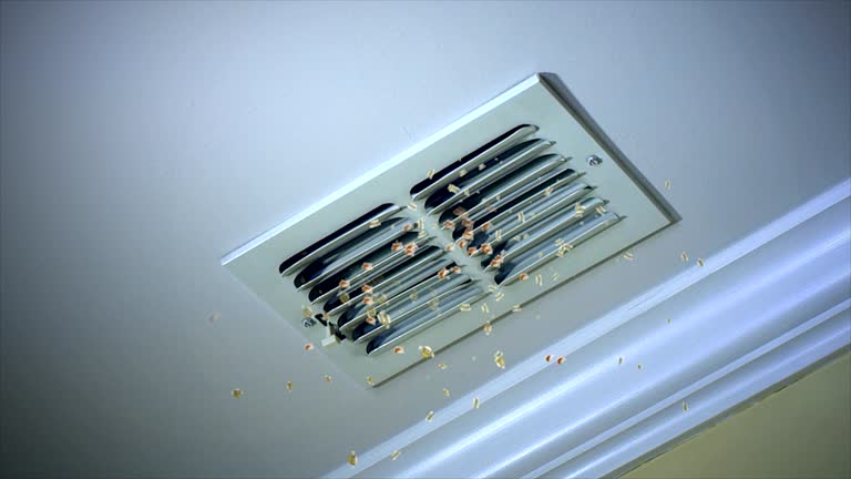 Best Ventilation Cleaning Services  in Cumberland, IN
