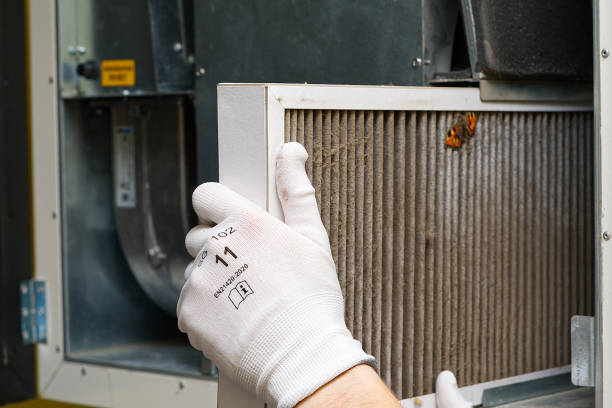Best Dryer Vent Cleaning Services  in Cumberland, IN